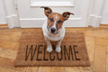 dog-welcome-home-26629661